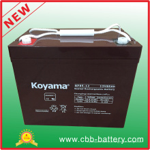 Bateria AGM de Segurança Geral Np85-12
